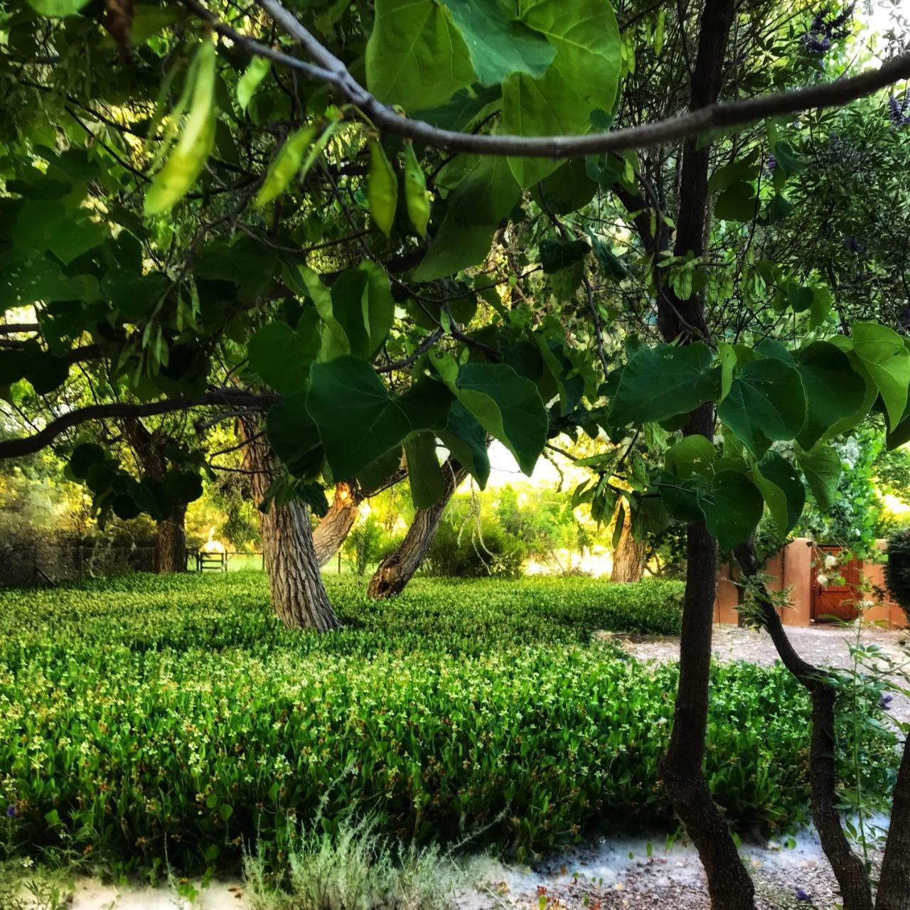 Morning Star Bed & Breakfast Of Corrales Dış mekan fotoğraf